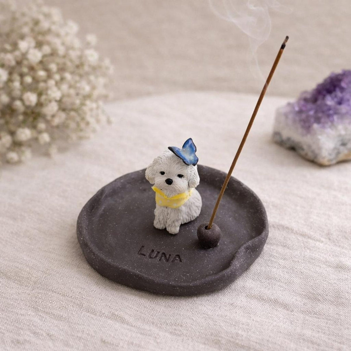 A Peaceful Corner with Your Pet